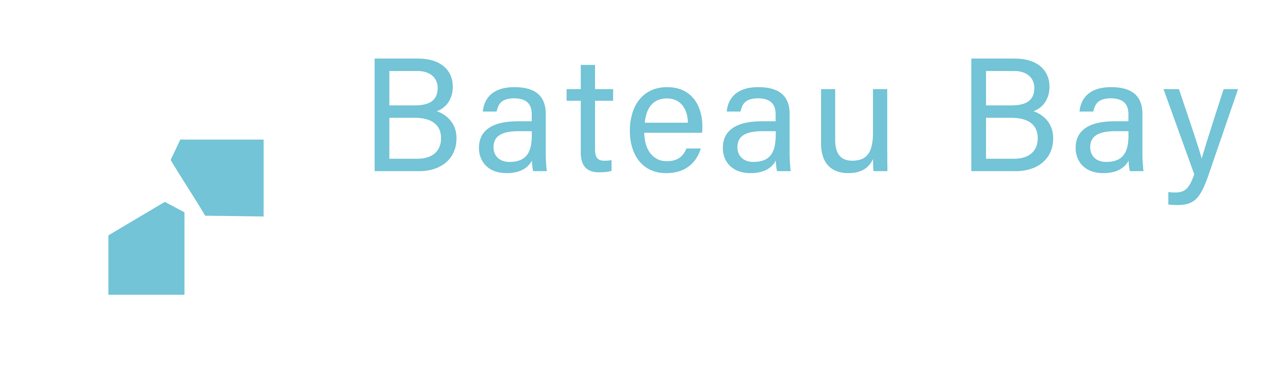 MF Bateau Bay Medical Centre Logo Long REV